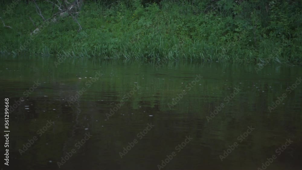River rafting in summer. Packrafting in wilderness. Derzha River, Tver Region, Russia. River rafting in summer. Packrafting in wilderness. Derzha River, Tver Region, Russia.