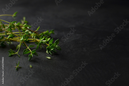 Thyme herb leaves on dark slate table background. Selective focus.