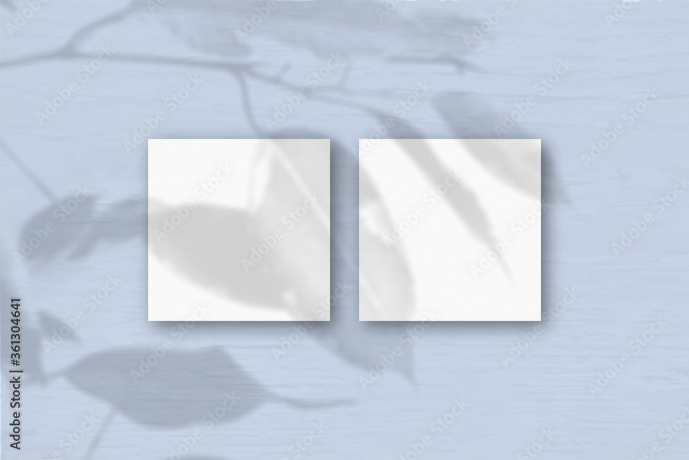2 square sheets of white textured paper on the blue wall background. Mockup overlay with the plant shadows. Natural light casts shadows from an exotic plant.. Flat lay, top view 2 square sheets of white textured paper on the blue wall background. Mockup overlay with the plant shadows. Natural light casts shadows from an exotic plant.. Flat lay, top view