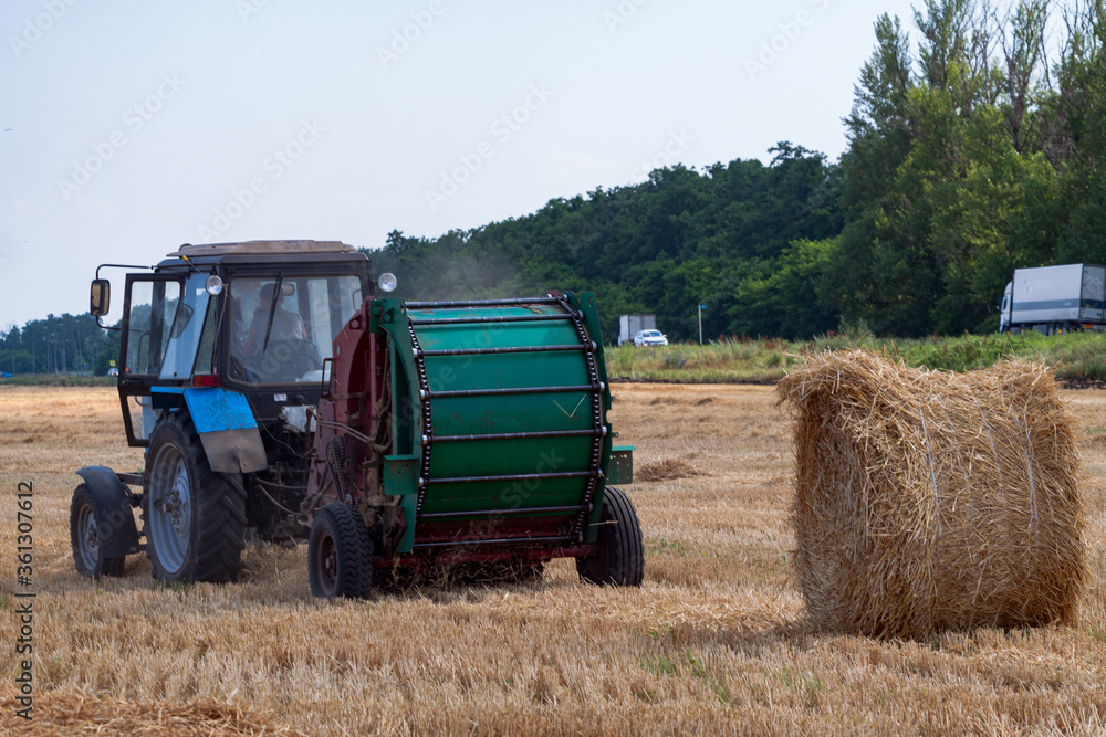 Obraz premium A tractor with a trailed bale making machine collects straw rolls in the field and makes round large bales