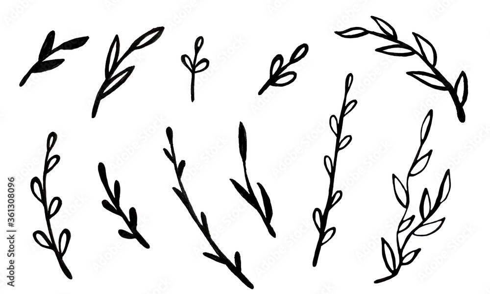 Hand drawn marker illustration of plant branches set. Collection of floral design elements. Spring and summer symbol. Contour otline drawing of simple black twig