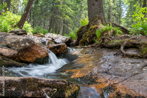 Natural stream flowing over stones in the forest. Summer landscape. Can be used as a postcard  background