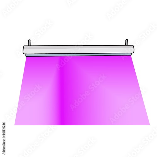 Phyto lamp for plants hanging on ceiling. Purple light of lamp with LED infrared and UV light. Colored vector stock illustration. Solar light source with full spectrum for growing flowers, gardening