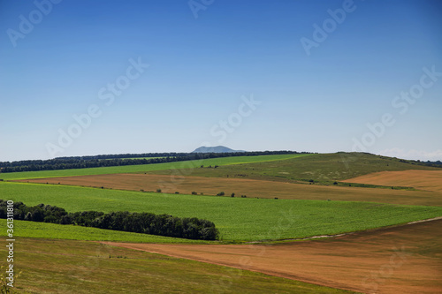 Summer landscape with green forest strips and agricultural fields against the background of mountains and clouds © berkut_34