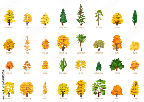 Big Vector cartoon set with autumn trees