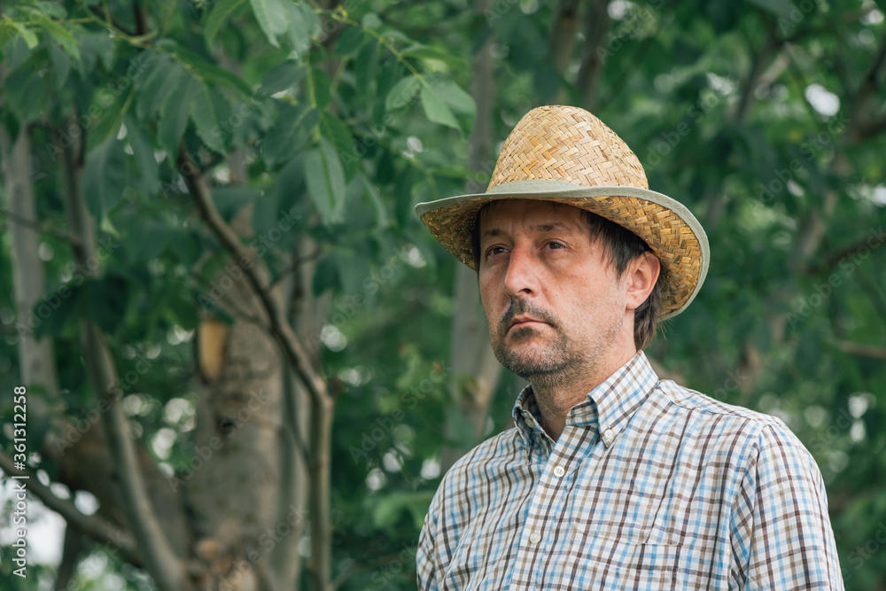 Portrait of serious farmer in walnut orchard