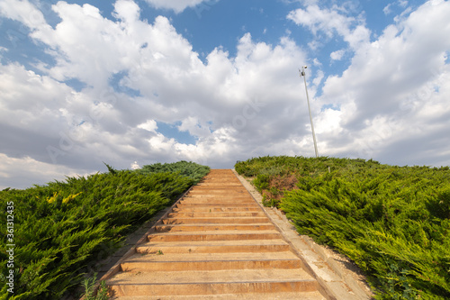 Angled closeup of stairs surrounded by greenery  blue sky with white clouds  horizontal