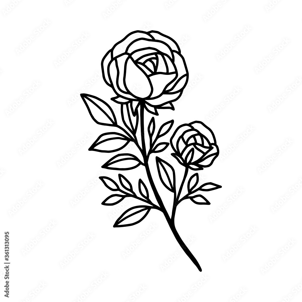 Hand drawn rose flower element. Floral line art for feminine logo, icon, business card, wedding invitation, or decoration Hand drawn rose flower element. Floral line art for feminine logo, icon, business card, wedding invitation, or decoration