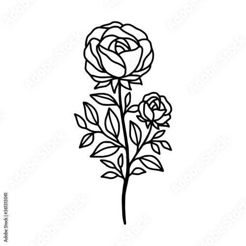 Hand drawn rose flower element. Floral line art for feminine logo, icon, business card, wedding invitation, or decoration
