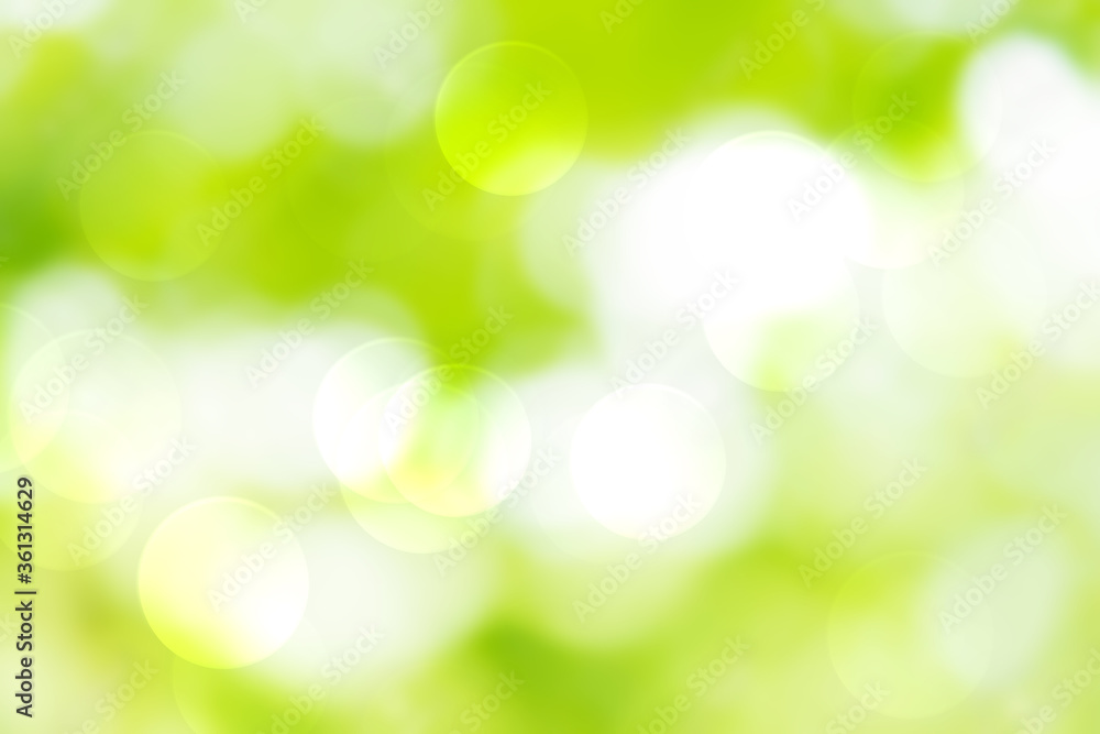 Green and white bokeh background from natural forest Green and white bokeh background from natural forest