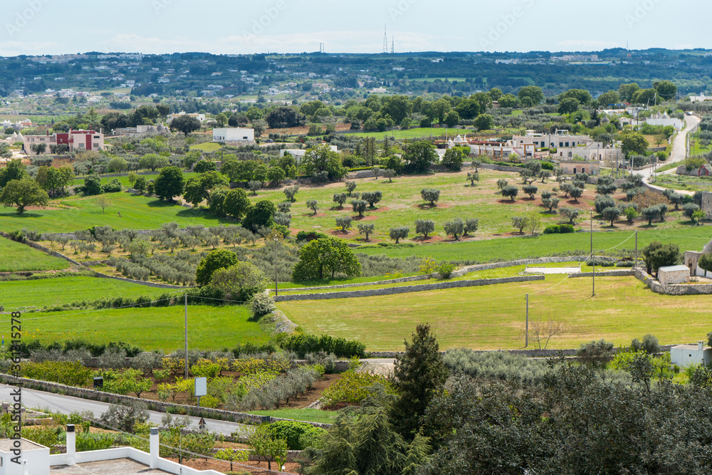 Naklejka premium Italy Puglia landscape