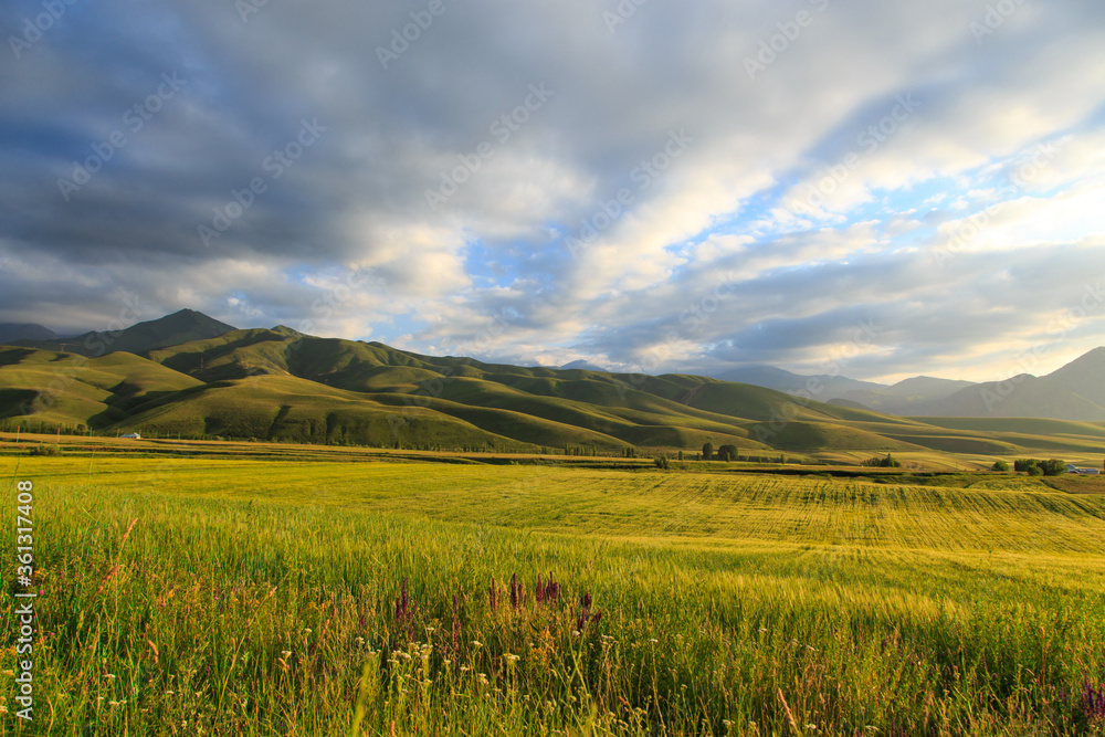 Beautiful spring and summer landscape. Lush green hills. Spring blooming herbs. Beautiful spring and summer landscape. Lush green hills. Spring blooming herbs.