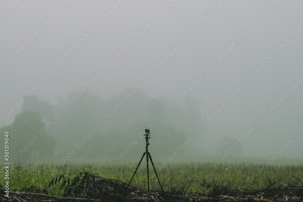 Naklejka premium Foggy countryside.