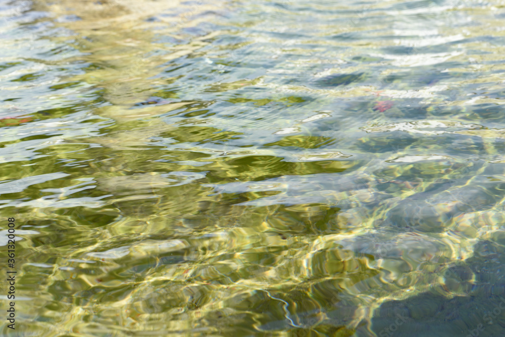 Superfície de agua verdosa en fuente de parque público en un día soleado de verano en Ferrol, Galicia, España Superfície de agua verdosa en fuente de parque público en un día soleado de verano en Ferrol, Galicia, España