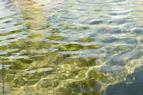 Superfície de agua verdosa en fuente de parque público en un día soleado de verano en Ferrol, Galicia, España