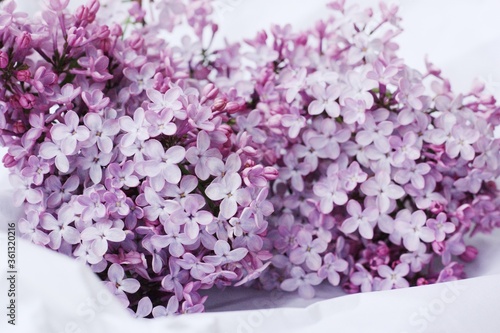Fototapeta Naklejka Na Ścianę i Meble -  Beautiful bouquet of lilac on white paper 