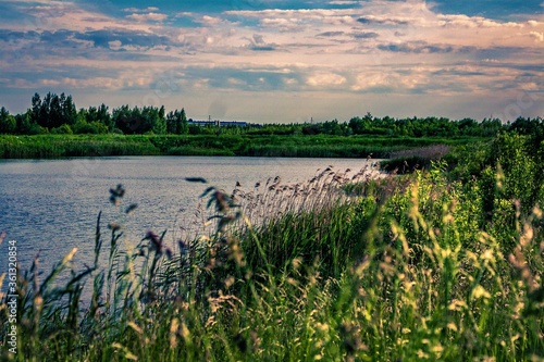 lake in the forest