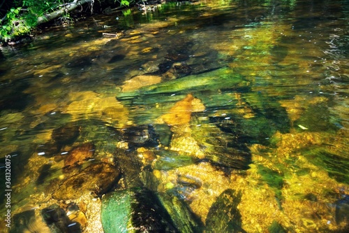 Bottom of mountain river with stones and transparent water.