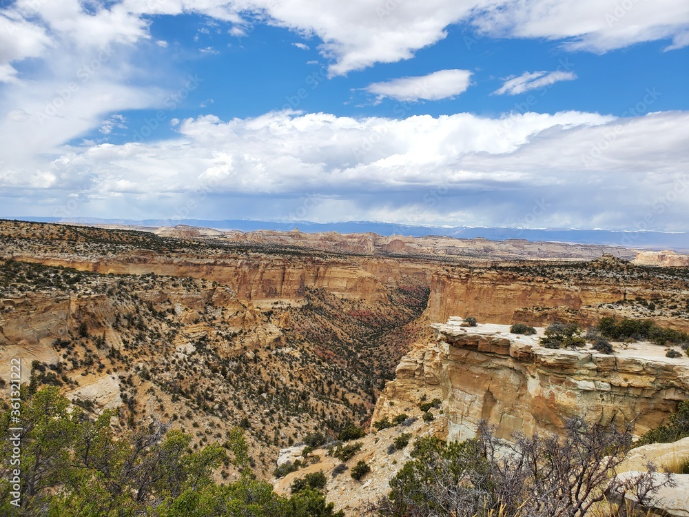 grand canyon arizona usa