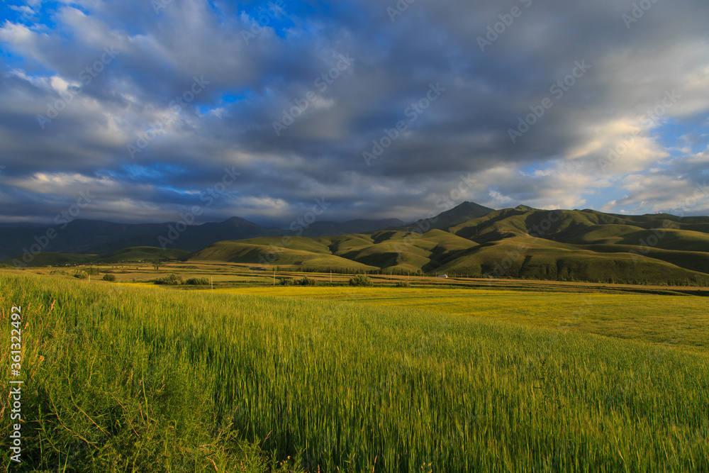 Beautiful spring and summer landscape. Lush green hills. Spring blooming herbs. Beautiful spring and summer landscape. Lush green hills. Spring blooming herbs.