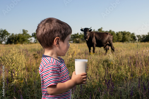 A small child boy in a striped bright T-shirt holds and drinks natural cow's milk against a black cow in a field. Children's food, milk in the diet of children, calcium, a full meal.