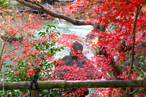 The Ikuta Shrine in Kobe, Kansai, Japan. photo