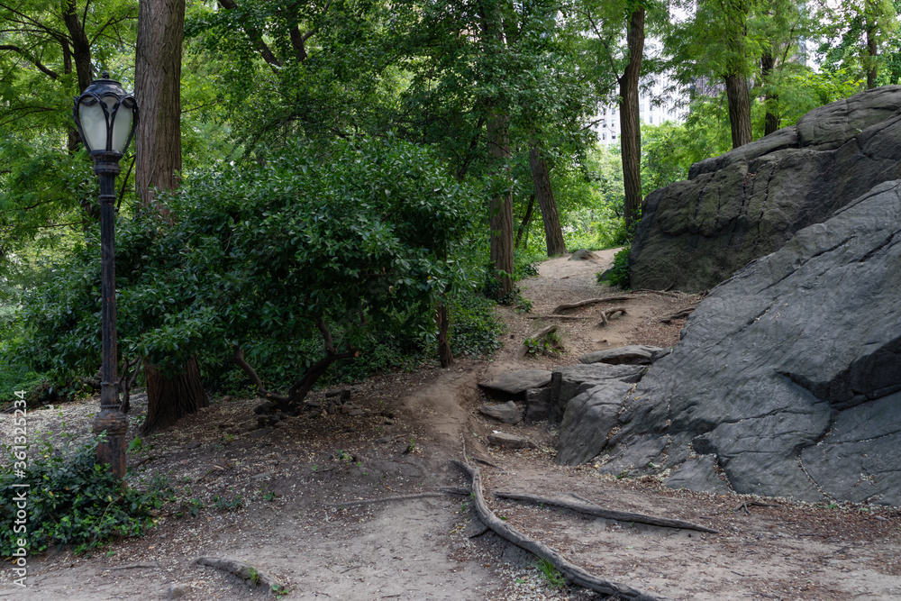 Empty Shaded Trail at Central Park in New York City with a Street Light and Rocks and Green Trees during Spring Empty Shaded Trail at Central Park in New York City with a Street Light and Rocks and Green Trees during Spring