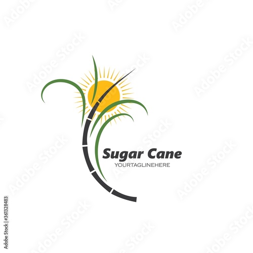 sugar cane vector icon illustration