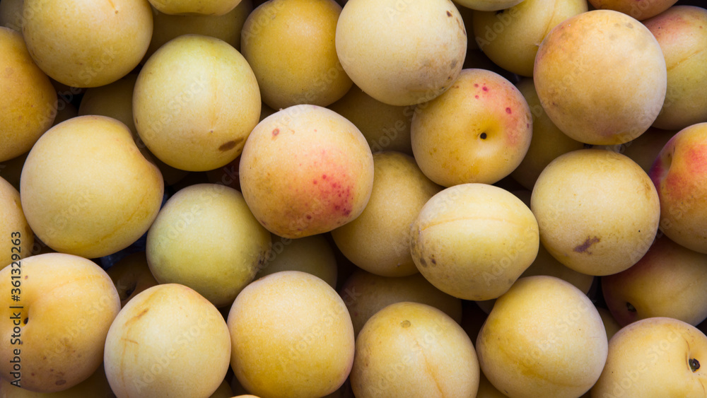 Japanese apricot fruit in full screen. Ume Japanese apricot fruit in full screen. Ume