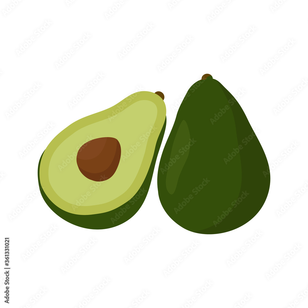 Avocado fruit. Vector. In the style of hand drawing. Avocado fruit. Vector. In the style of hand drawing.