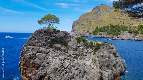 There is a stone island in the water. A tree grows on it. Blue sky.