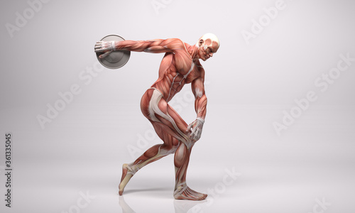 3D Render : The portrait of male character with muscle tissues display photo