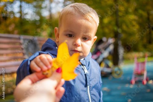 portrait of a little cute baby boy in blue clothes takes a yellow autumn leaf from his mother   s hands and looks at it. close-up. soft focus. blur park and srtoller on background