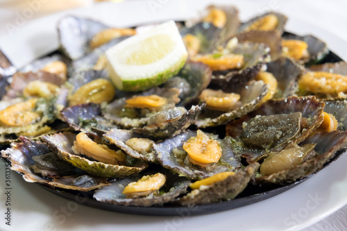 Foto A Madeiran specialty, the limpets “Lapas” are cooked in a frying pan of their own