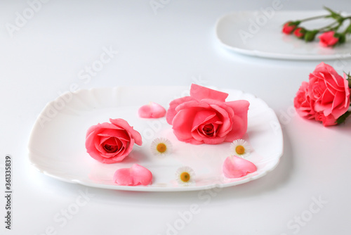 Beautiful red rose flowers on a white plate background with petals, bouquet, isolated. Blooming romantic pink roses - a symbol of love and celebration