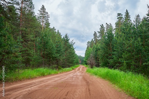 The road goes deep into the forest, rich colors after the rain