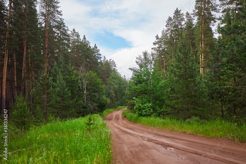 A lonely road in the forest after the rain