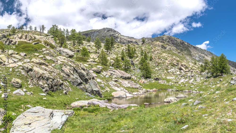 Panorama sur le parc du Mercantour - Landscape on French mountain Panorama sur le parc du Mercantour - Landscape on French mountain