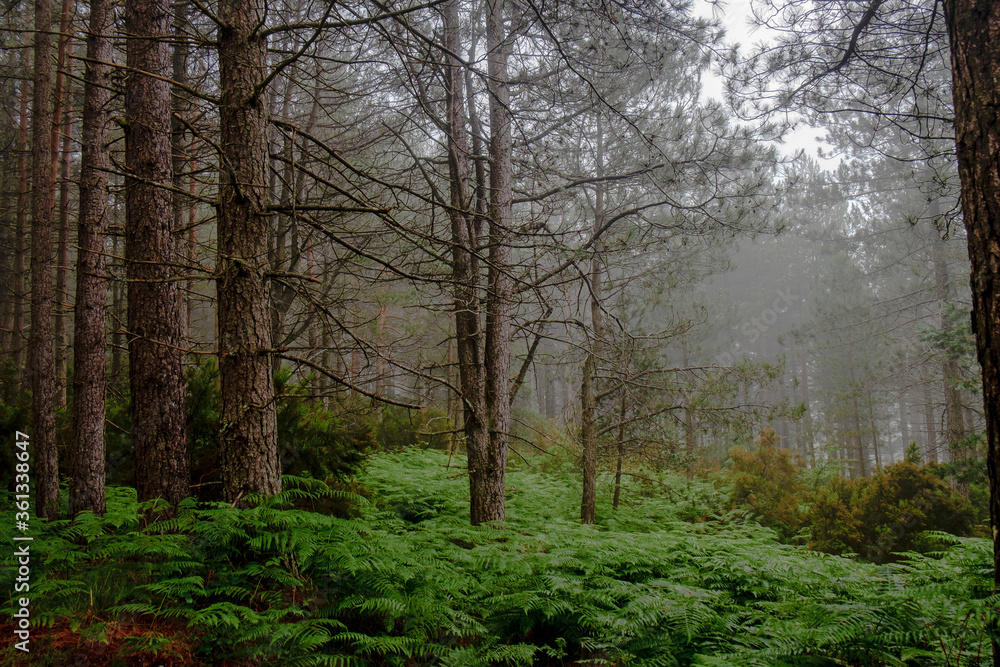 um dia no Parque Nacional Peneda-Gerês um dia no Parque Nacional Peneda-Gerês