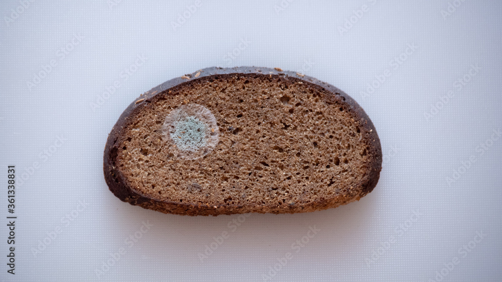 Moldy bread on a cutting board. Moldy bread on a cutting board.