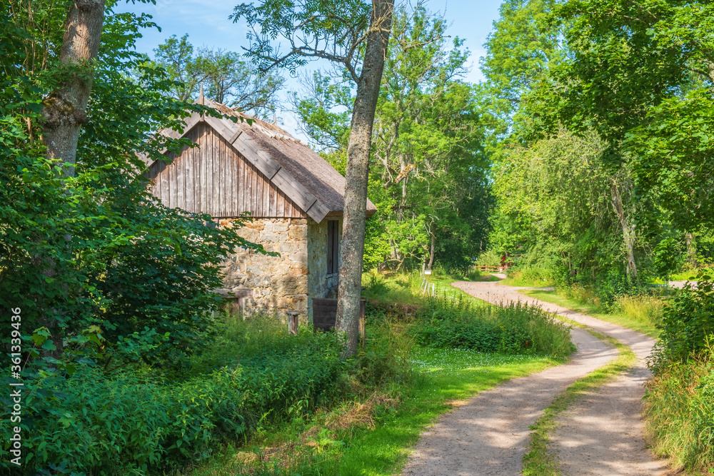 Old mill on a winding dirt road in a deciduous forest Old mill on a winding dirt road in a deciduous forest