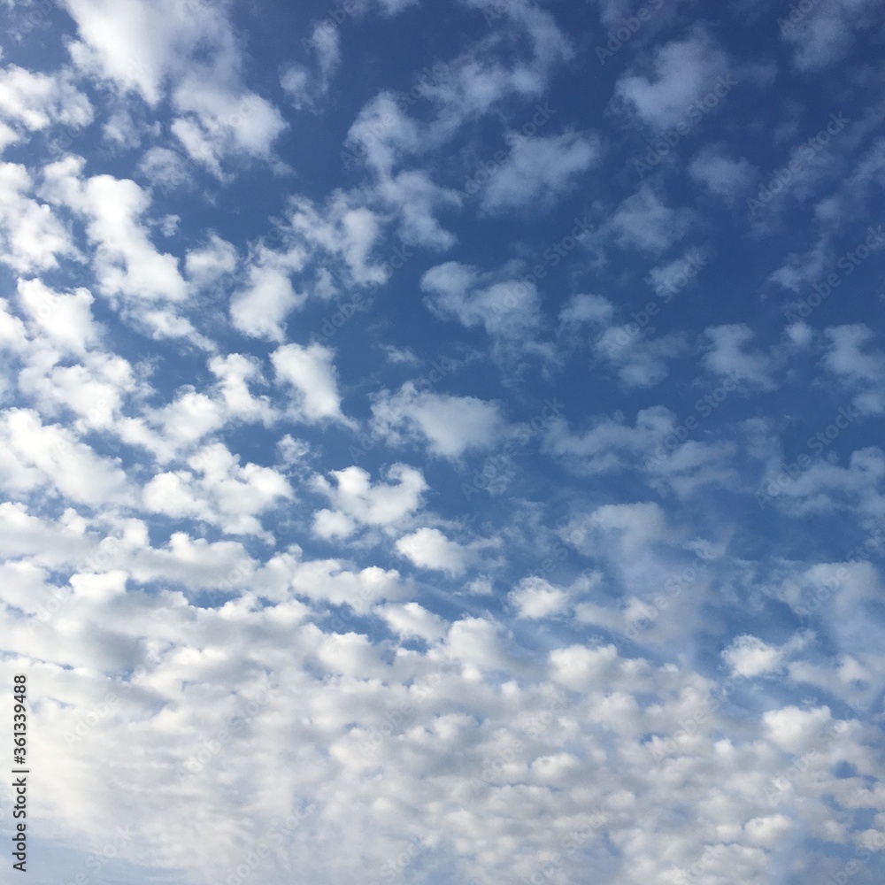 Fototapeta premium blue sky with clouds