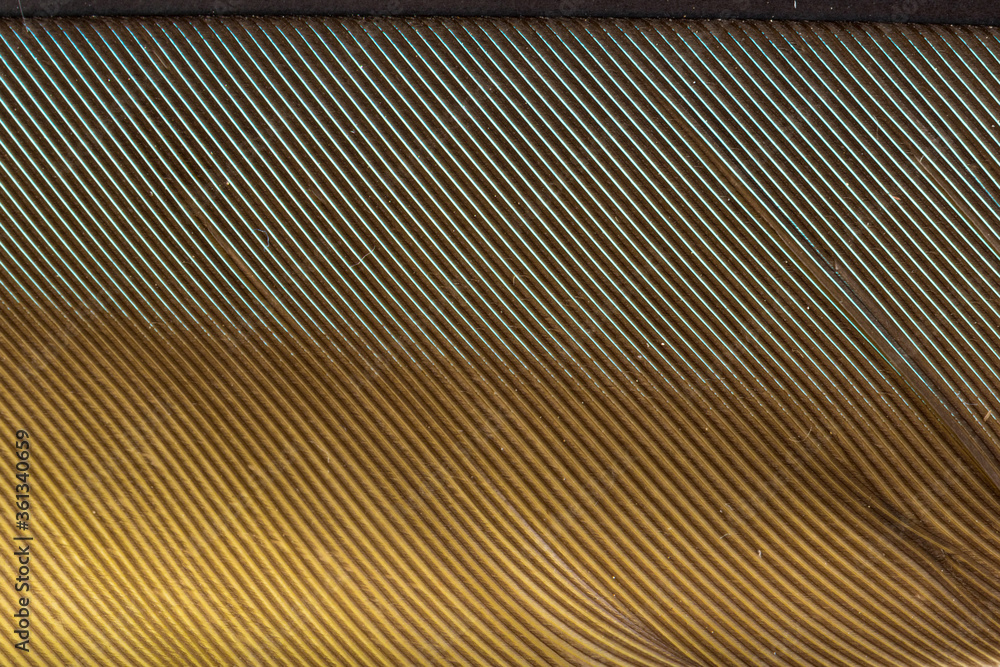 Beautiful Bright Blue and Yellow Parrot Feather Close up Detail Texture. Abstract Pattern Background Beautiful Bright Blue and Yellow Parrot Feather Close up Detail Texture. Abstract Pattern Background