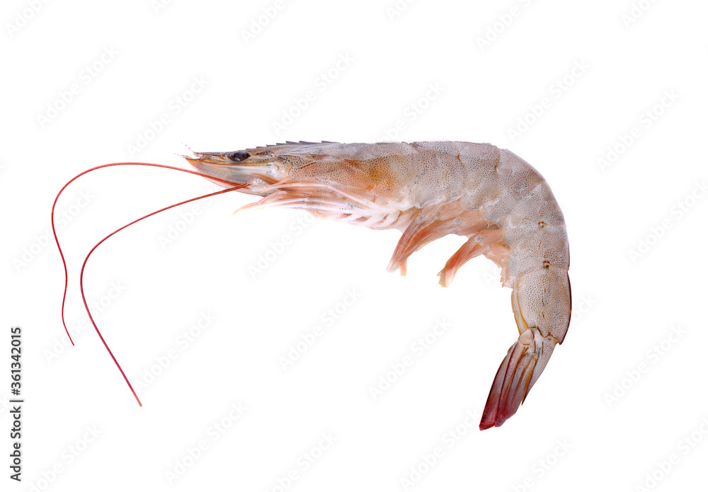 Fresh raw shrimps isolated on white background Fresh raw shrimps isolated on white background