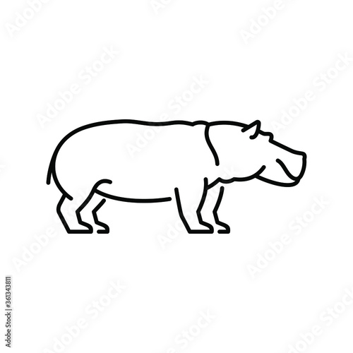 Hippopotamus vector icon. Wild animal. African savannah fauna.