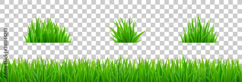 Green grass on spring lawn or field. Vector realistic set of border of summer meadow plants and bunch of grass isolated on transparent background