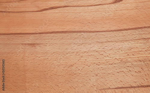 Beech wood beauty texture as a nice background 