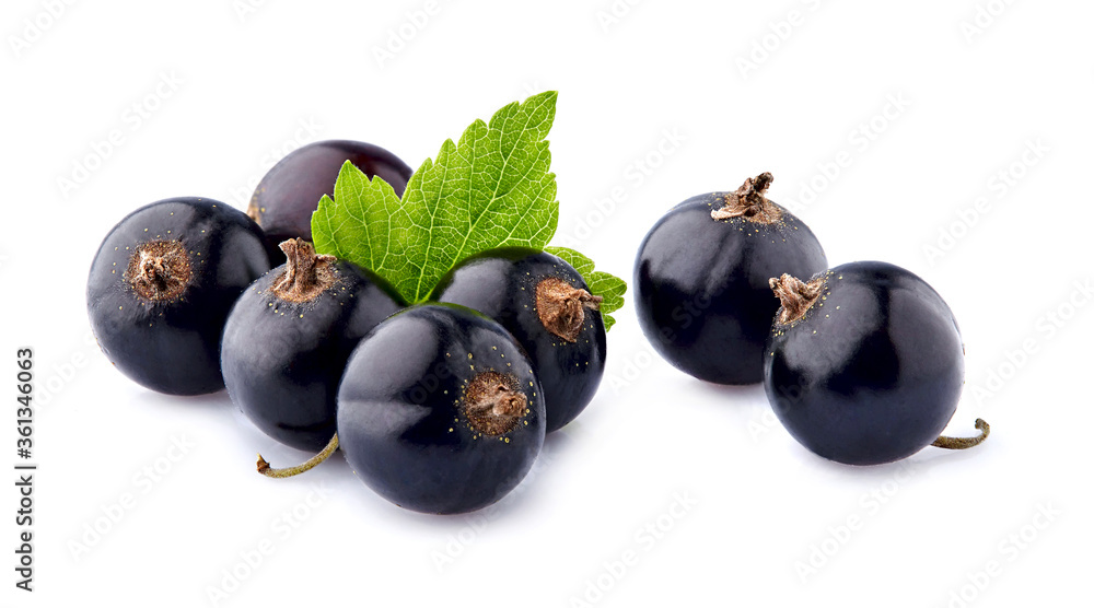 Black currant berries with leaf on White Background Black currant berries with leaf on White Background