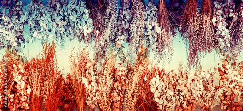 Picture of dry flowers for use as a background image