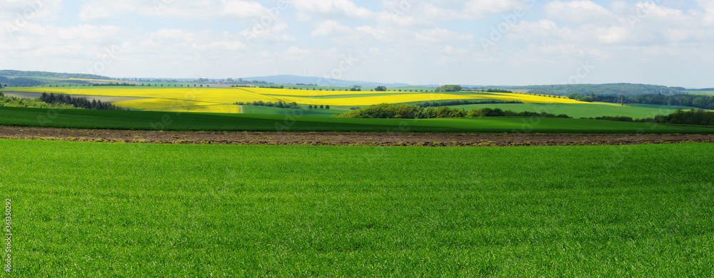 Obraz premium Frühlingslandschaft Panorama bei Raversbeuren im Hunsrück 